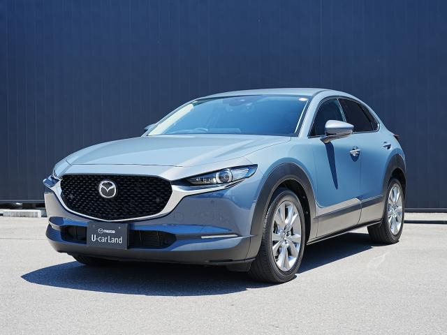 CX-302.0 20S プロアクティブ