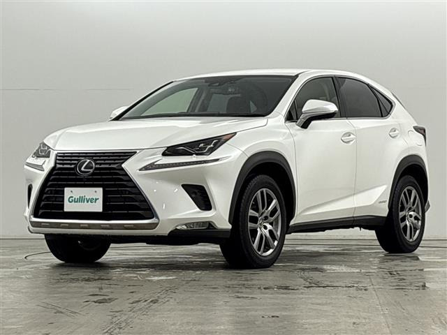 NX300h バージョンL