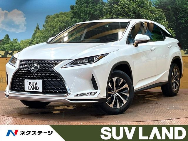RX300