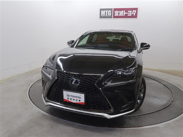 NX300h Fスポーツ 4WD