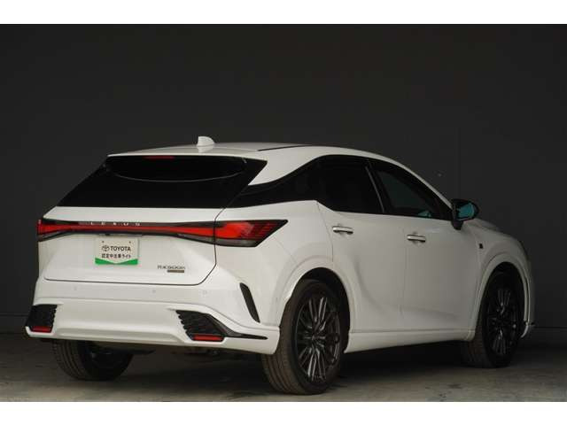 RX500h Fスポーツパフォーマンス 4WD
