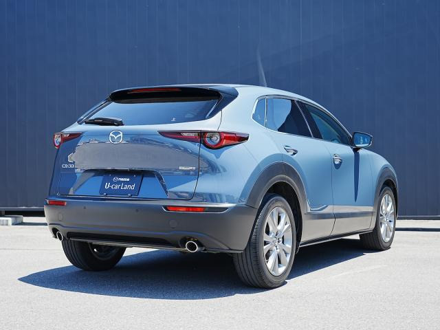 CX-302.0 20S プロアクティブ