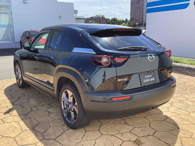 CX-30