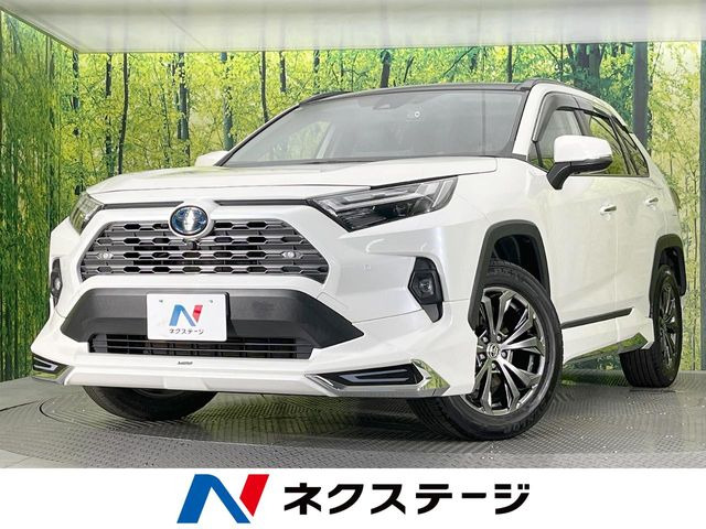 RAV42.5 ハイブリッド G E-Four 4WD