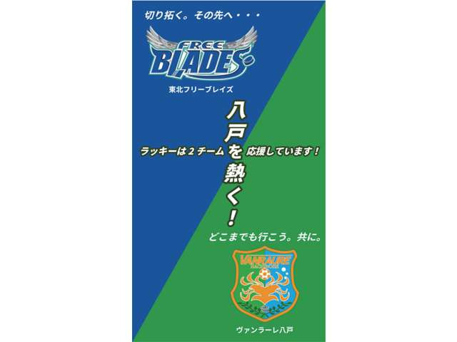 ライズ1.0 Z 4WD