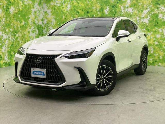 NX250