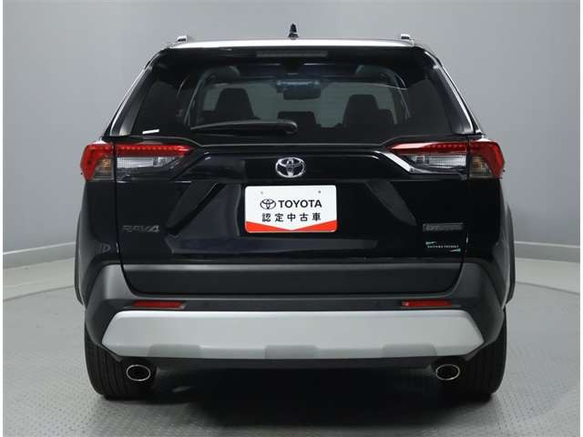 RAV42.0 アドベンチャー 4WD