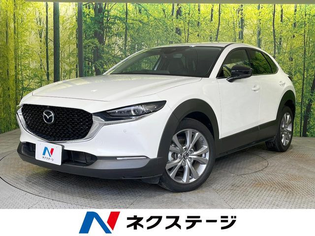 CX-302.0 20S プロアクティブ ツーリングセレクション