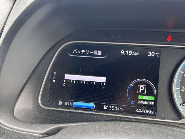 リーフe+ G