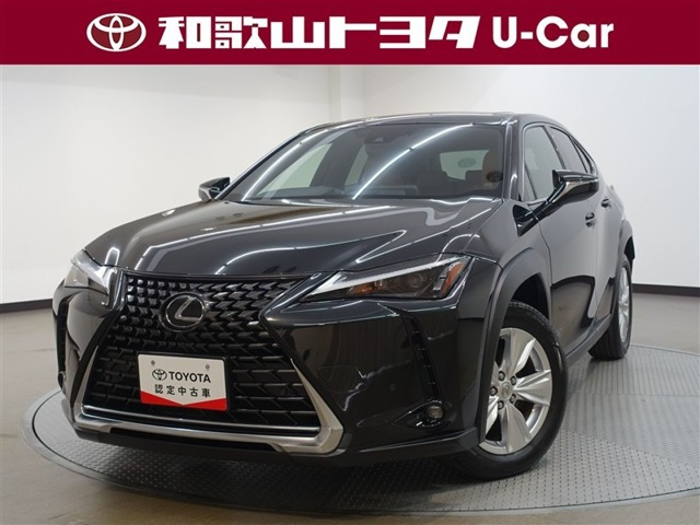 UX250h バージョンC