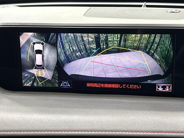 UX250h Fスポーツ