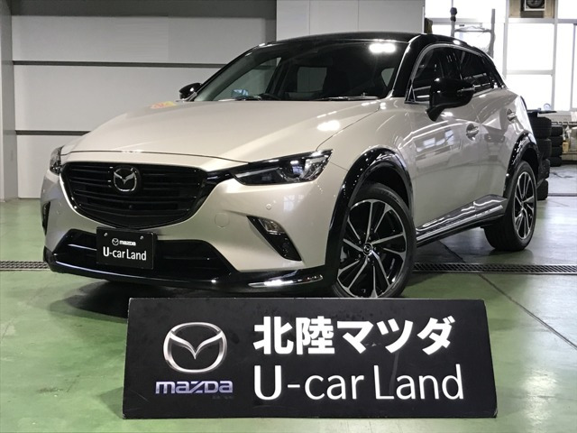 CX-31.8 XD ビビッド モノトーン