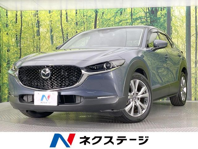 CX-302.0 20S プロアクティブ