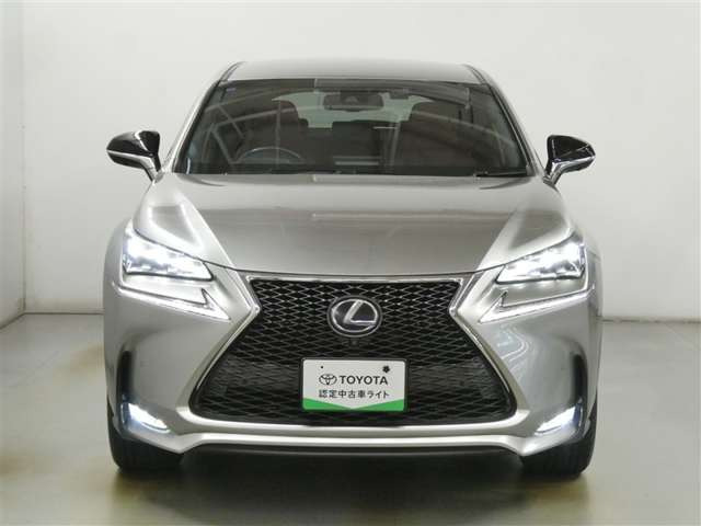 NX300h Fスポーツ