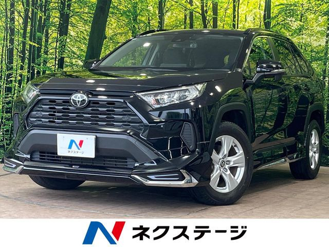 RAV42.0 X