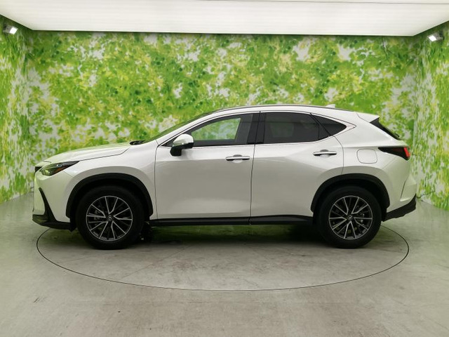 NX250