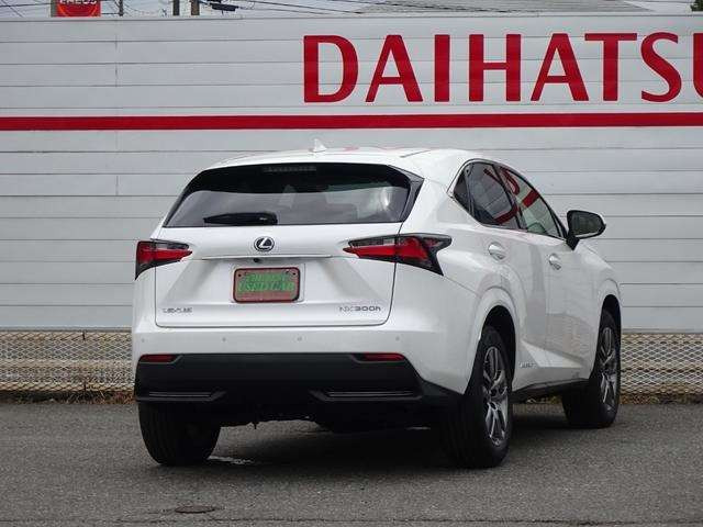 NX300h Iパッケージ 4WD