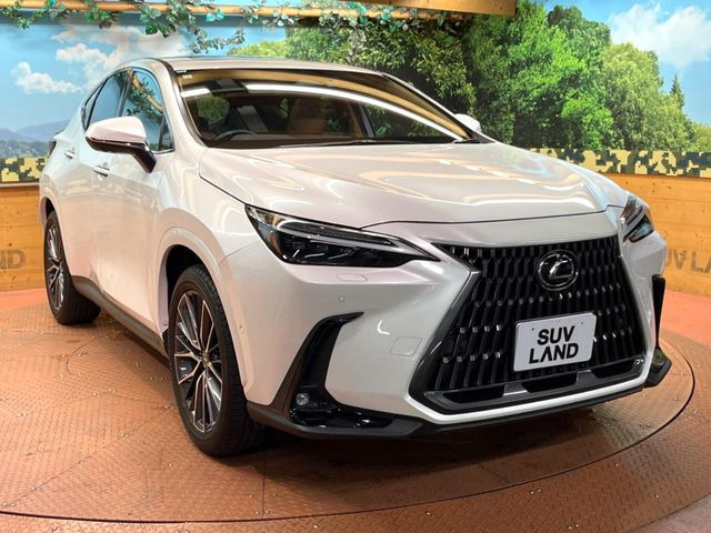 �������x�̃K���X�疌�ŝ����͂������A�㎿�ȃc���E����������B���O����_���J�����؂Ȉ��Ԃ�ی삵�A�F�����E�򉻂�h�~�B�u�e�X�v���b�V���R�[�g�v�A�u�e�v���~�b�T�R�[�g�v���炨�I�т��������܂��B