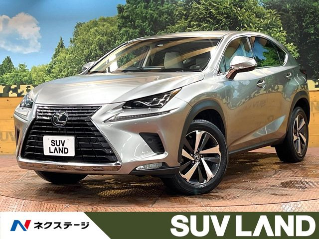 NX200t Iパッケージ