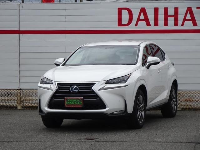NX300h Iパッケージ 4WD