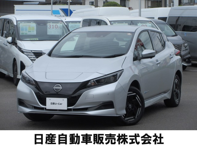 リーフe+ X