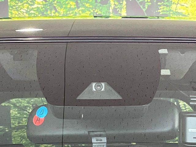 RAV42.0 X