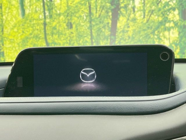 CX-302.0 20S プロアクティブ