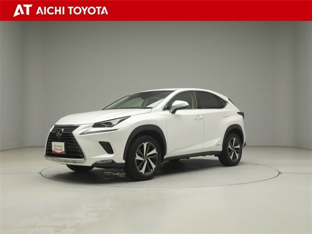NX300h バージョンL