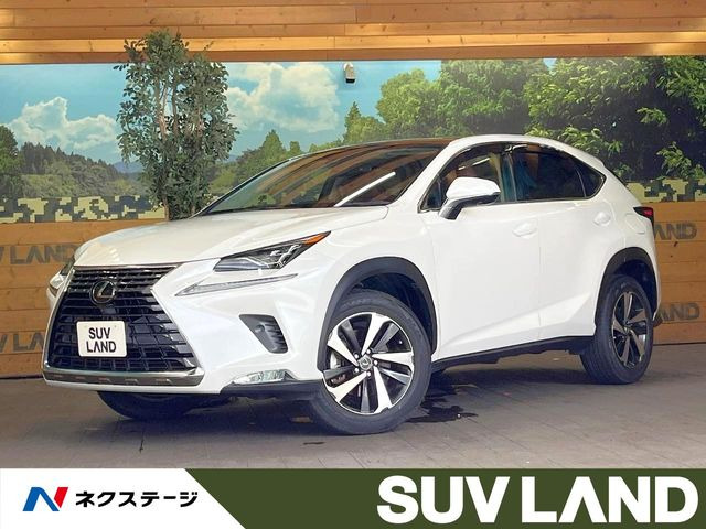NX200t Iパッケージ