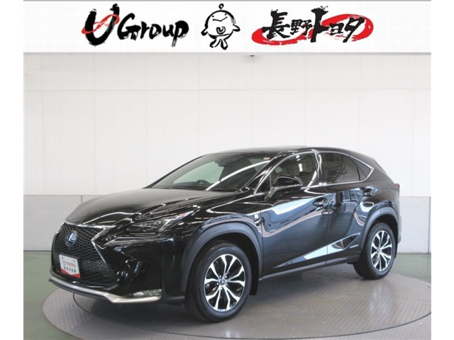 NX300h Fスポーツ