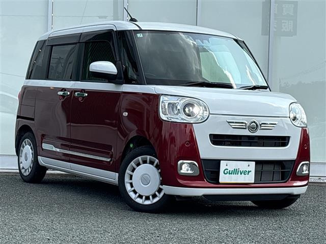 ムーヴキャンバスストライプス G