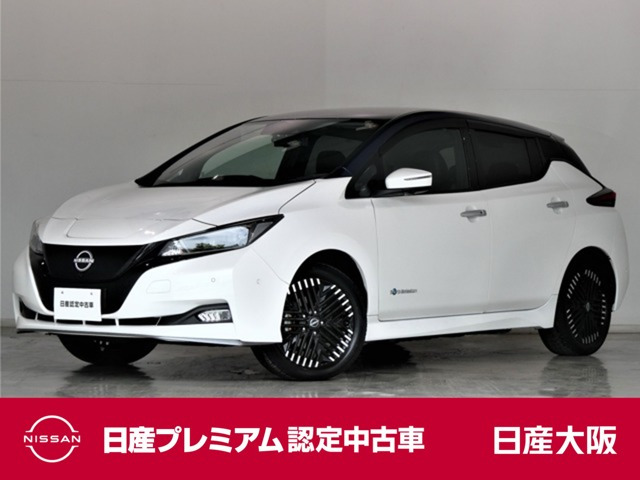 リーフe+ G