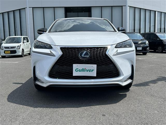 NX300h Fスポーツ