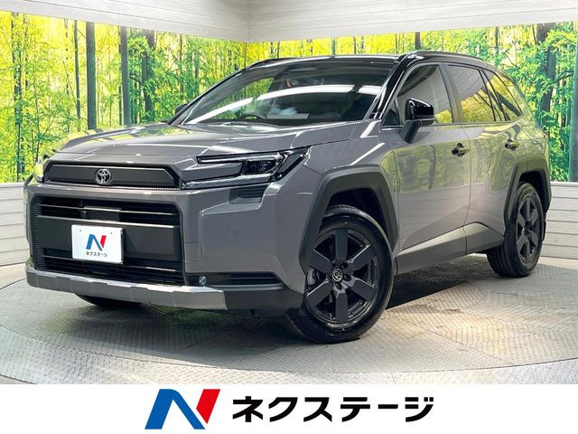 RAV4(トヨタ) アドベンチャー 中古車画像