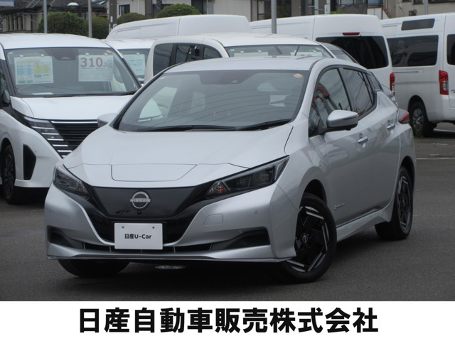 リーフe+ X