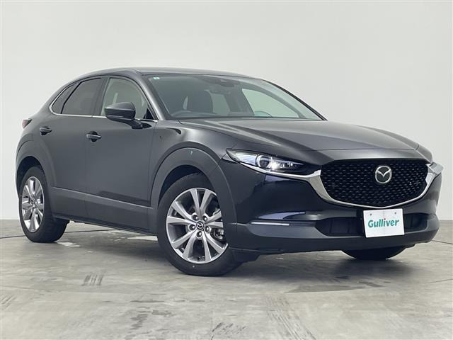CX-302.0 20S プロアクティブ