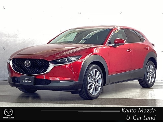 CX-302.0 20S プロアクティブ