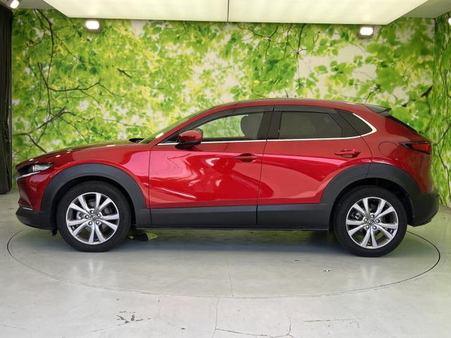 CX-302.0 20S プロアクティブ