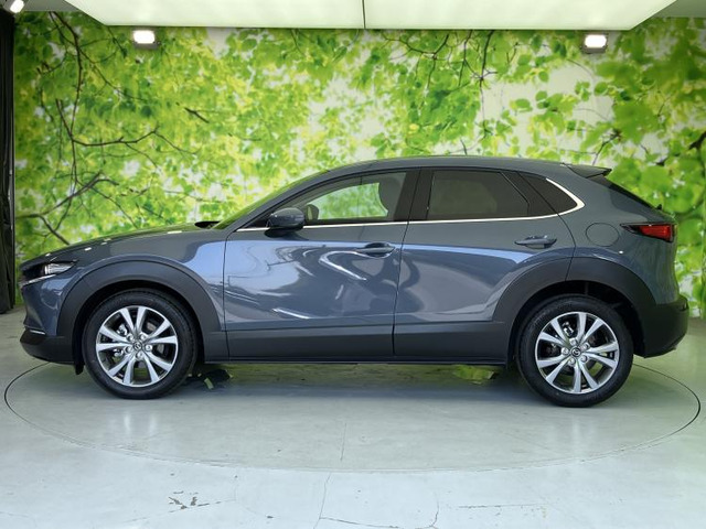 CX-302.0 20S プロアクティブ