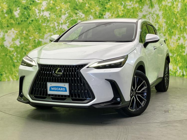 NX350h バージョンL