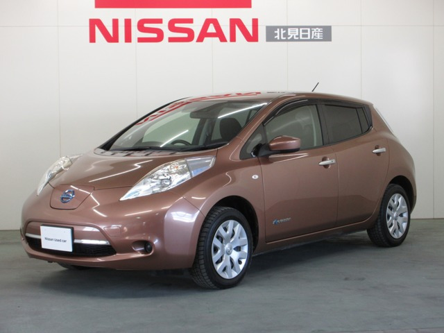 リーフ30kWh S