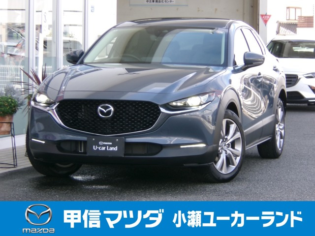 CX-302.0 20S プロアクティブ