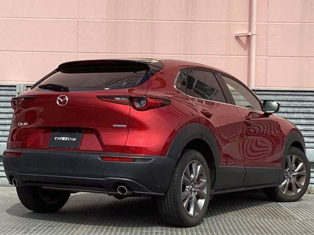 CX-301.8 XD Lパッケージ