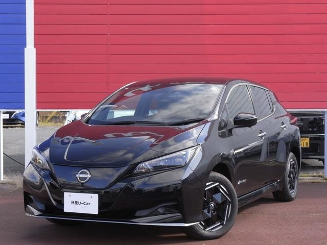 リーフe+ X