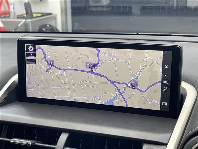NX300h Fスポーツ