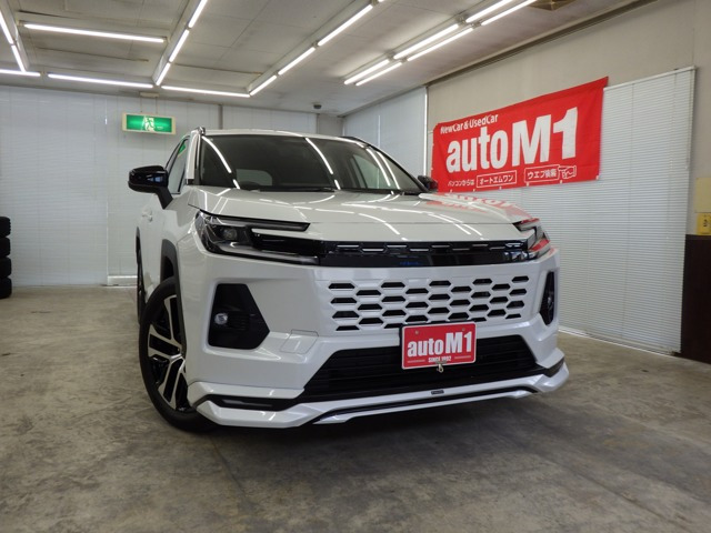 RAV42.5 Z E-Four 4WD