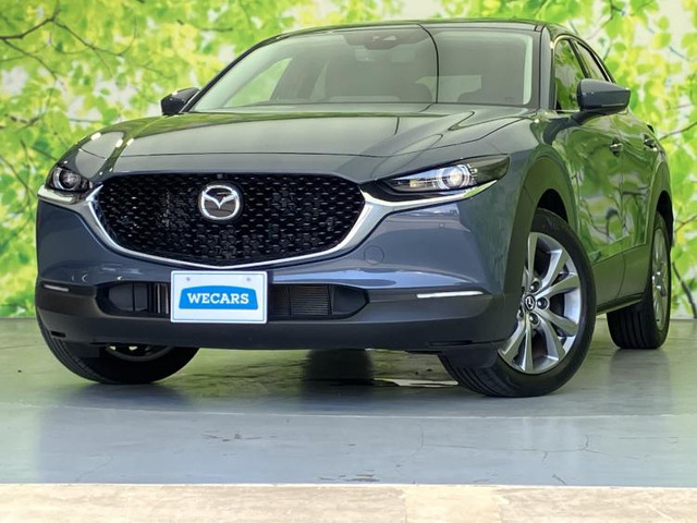 CX-302.0 20S プロアクティブ
