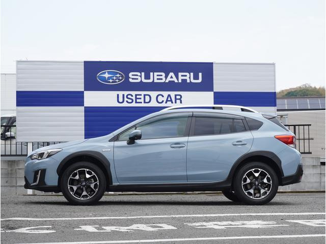 XV