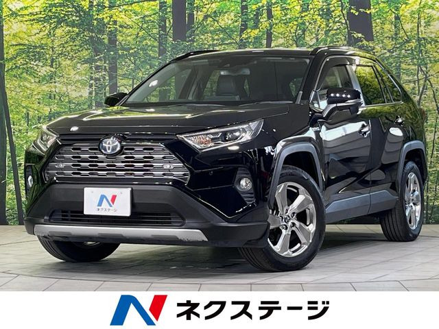RAV42.5 ハイブリッド G E-Four 4WD