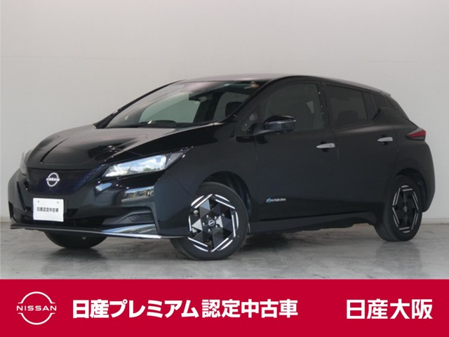 リーフe+ X